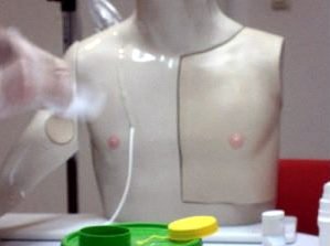 porttorso.jpg